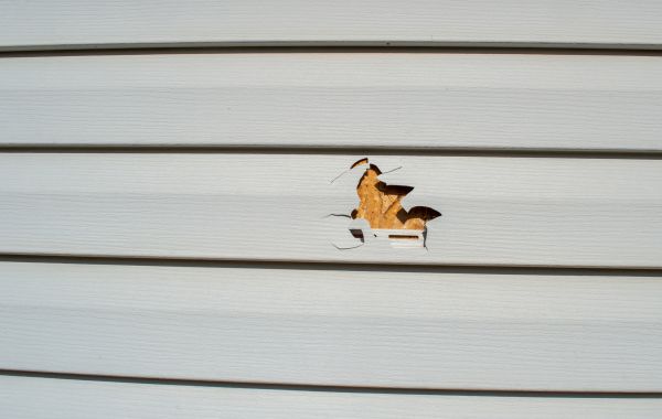 Siding Hole Patching in Huntersville